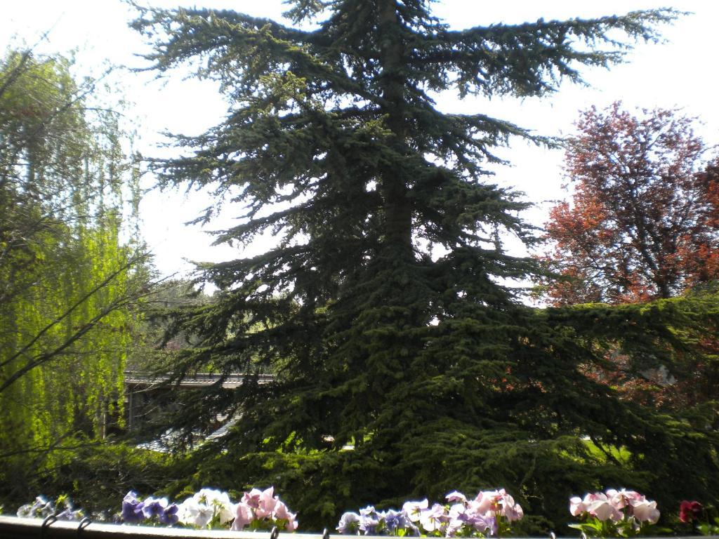 Villa Aux Marguerites Sainte-Genevieve-les-Gasny Zimmer foto